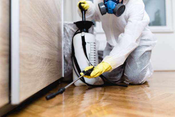 Professional Pest Control in Waller, TX
