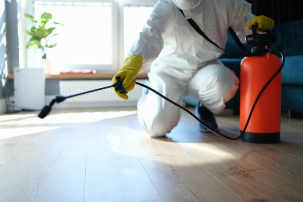 Professional Pest Control in Waller, TX
