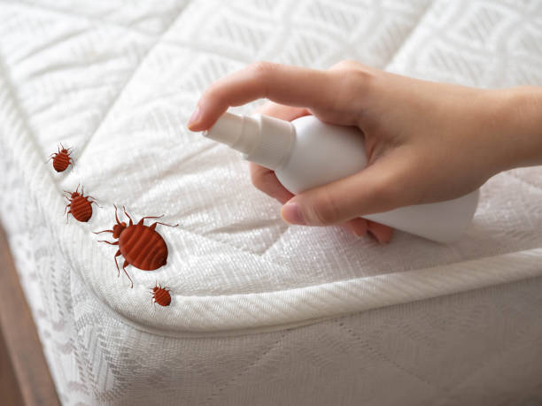 Best Commercial Pest Control Services  in Waller, TX