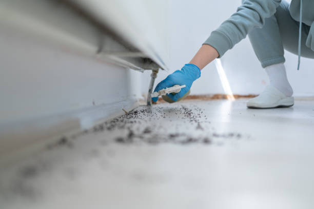 Best Mosquito Control Services  in Waller, TX