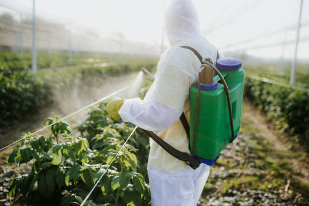 Pest Control Cost in Waller, TX